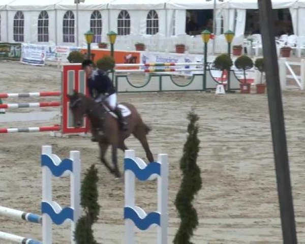 Reitturnier Werne-Lenklar 2013