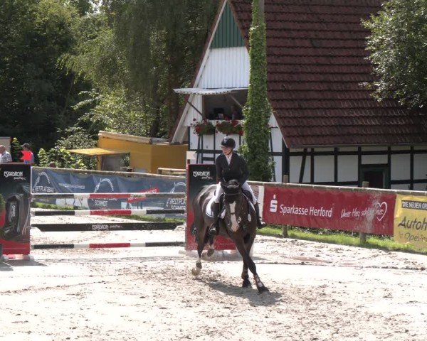 Reitturnier Vlotho-Exter 2024