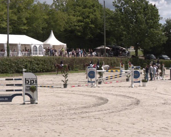 Reitturnier Vlotho-Exter 2024