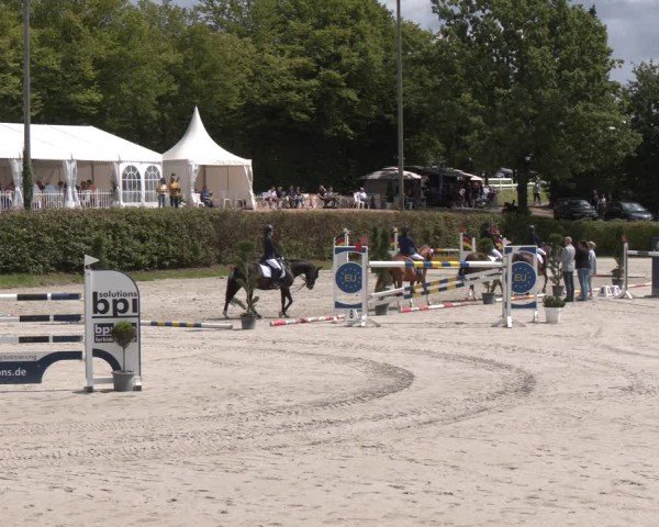 Reitturnier Vlotho-Exter 2024