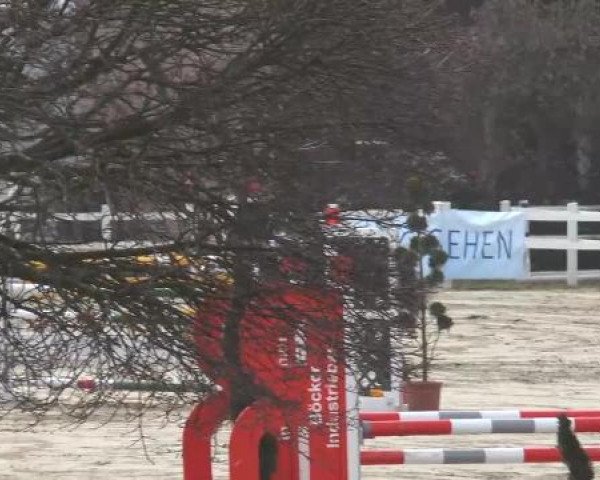 Lenklarer Reitertage auf der Reitsportanlage Gripshöver 2013