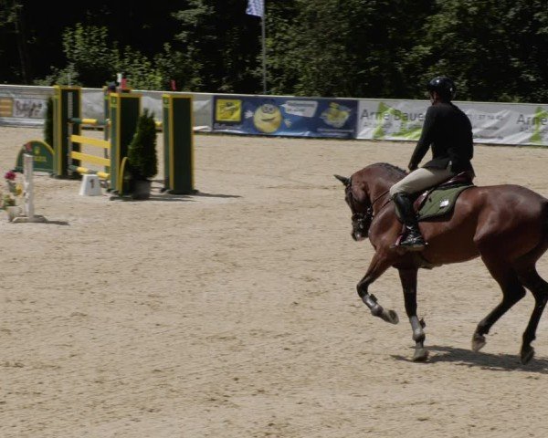 Reitturnier Karlsfeld/Obb. 2024