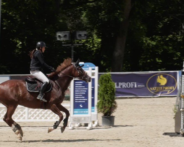 Reitturnier Karlsfeld/Obb. 2024