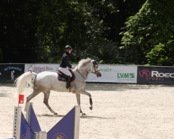 Reitturnier Karlsfeld/Obb. 2024