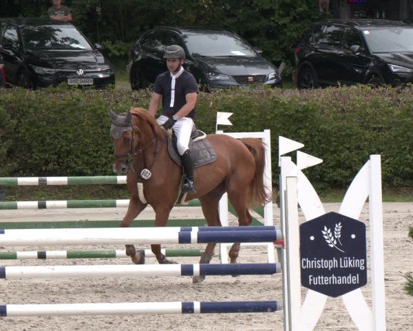 Reitturnier Vlotho-Exter 2024