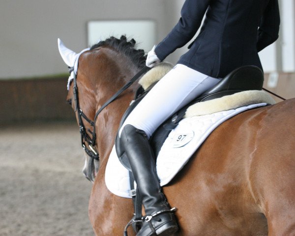 jumper Chigolo RS (Westphalian, 2009, from Cristallo I)