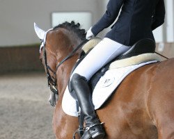 jumper Chigolo RS (Westphalian, 2009, from Cristallo I)