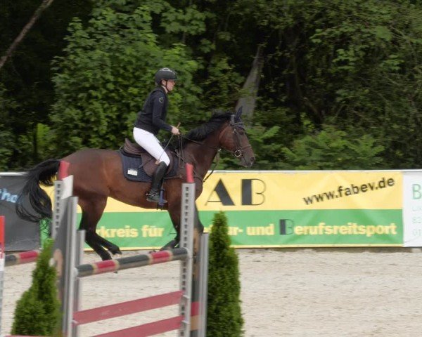 Reitturnier Karlsfeld/Obb. 2024