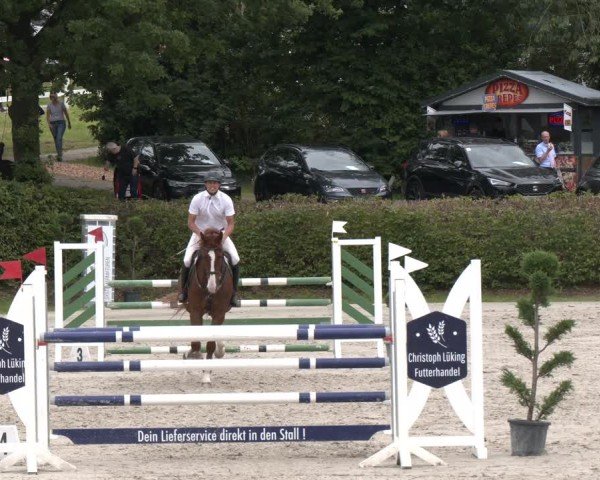 Reitturnier Vlotho-Exter 2024