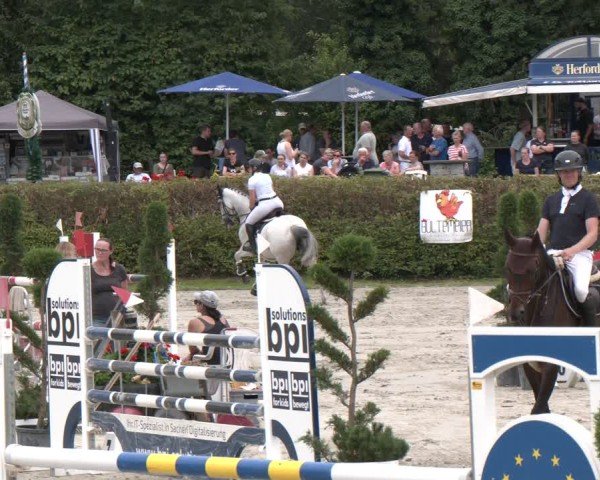 Reitturnier Vlotho-Exter 2024