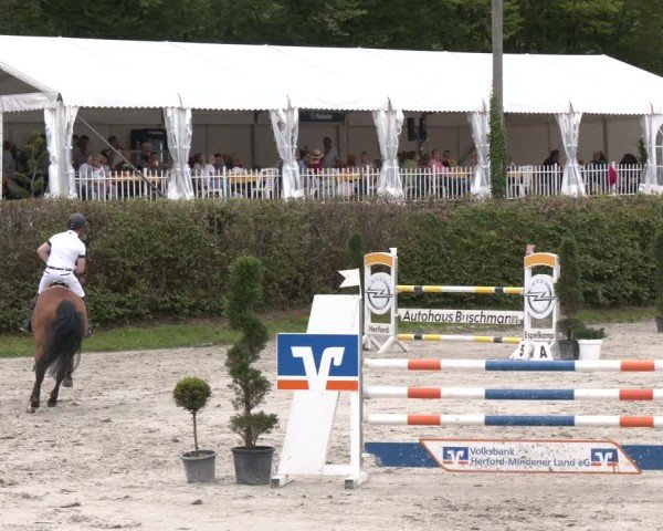 Reitturnier Vlotho-Exter 2024