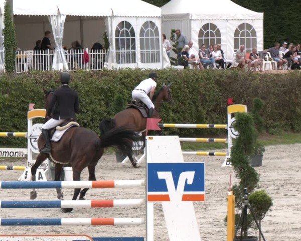 Reitturnier Vlotho-Exter 2024