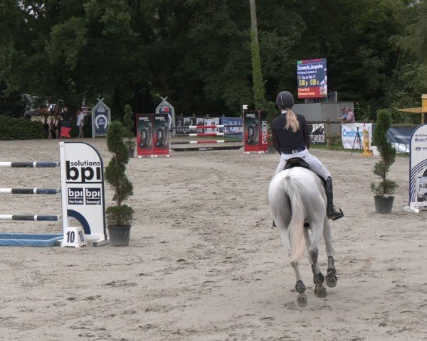 Reitturnier Vlotho-Exter 2024