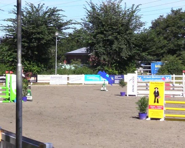 Reitturnier Mildstedt - Jumping Team Nord 2024