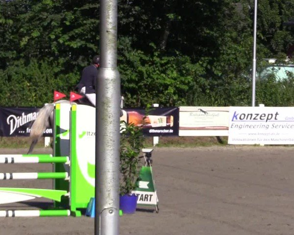 Reitturnier Mildstedt - Jumping Team Nord 2024