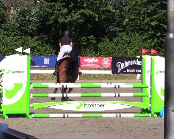 Reitturnier Mildstedt - Jumping Team Nord 2024