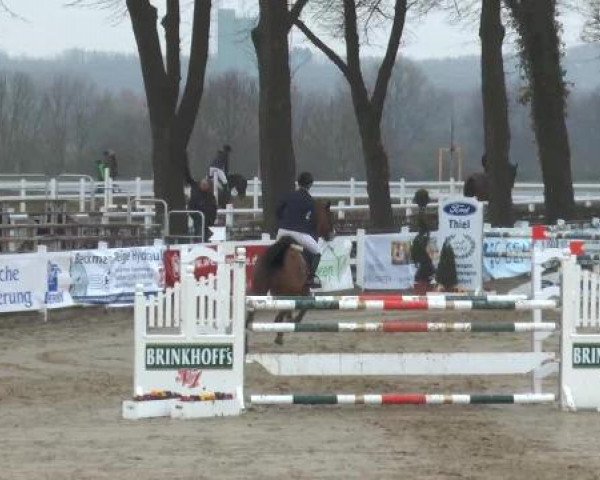 Lenklarer Reitertage auf der Reitsportanlage Gripshöver 2013