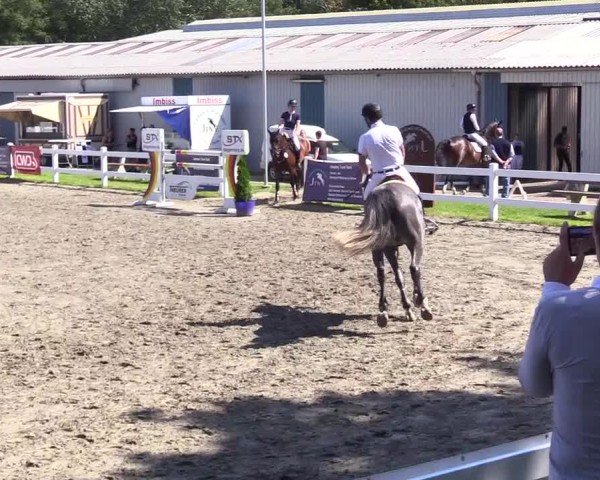 Reitturnier Mildstedt - Jumping Team Nord 2024