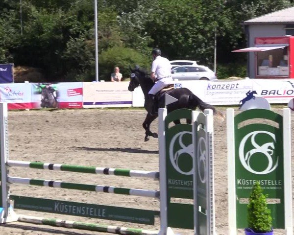 Reitturnier Mildstedt - Jumping Team Nord 2024
