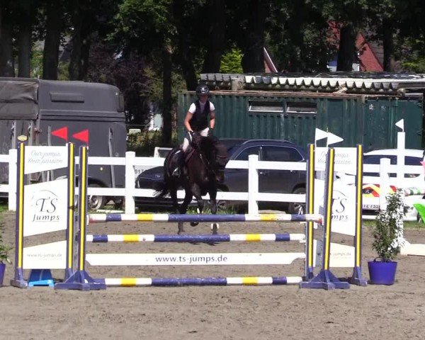 Reitturnier Mildstedt - Jumping Team Nord 2024