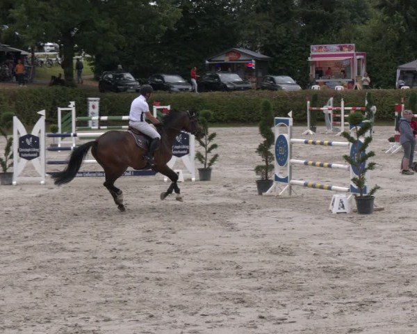 Reitturnier Vlotho-Exter 2024