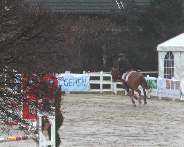 Lenklarer Reitertage auf der Reitsportanlage Gripshöver 2013