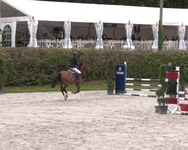 Reitturnier Vlotho-Exter 2024