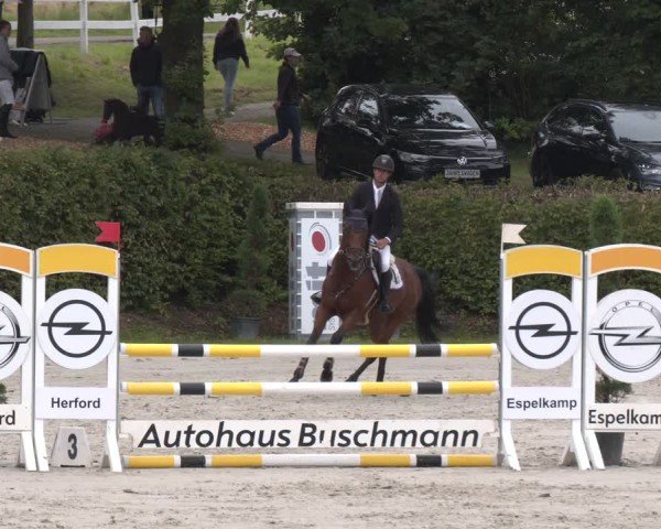 Reitturnier Vlotho-Exter 2024
