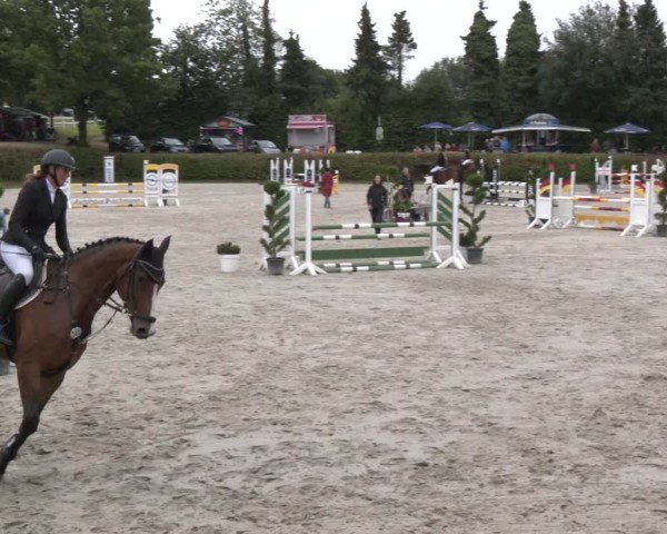 Reitturnier Vlotho-Exter 2024