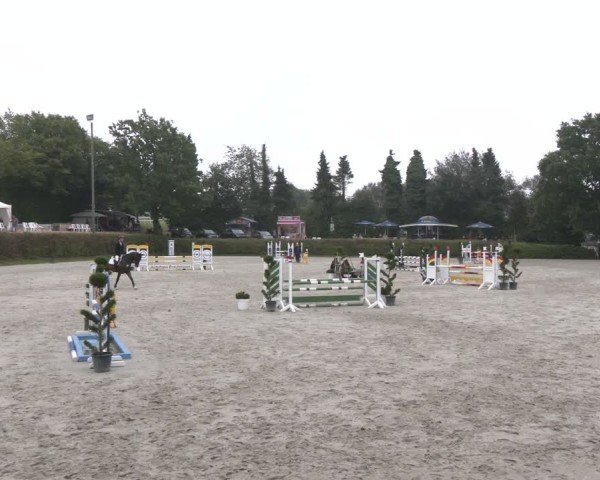 Reitturnier Vlotho-Exter 2024