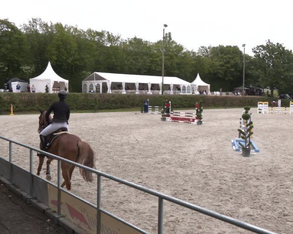 Reitturnier Vlotho-Exter 2024