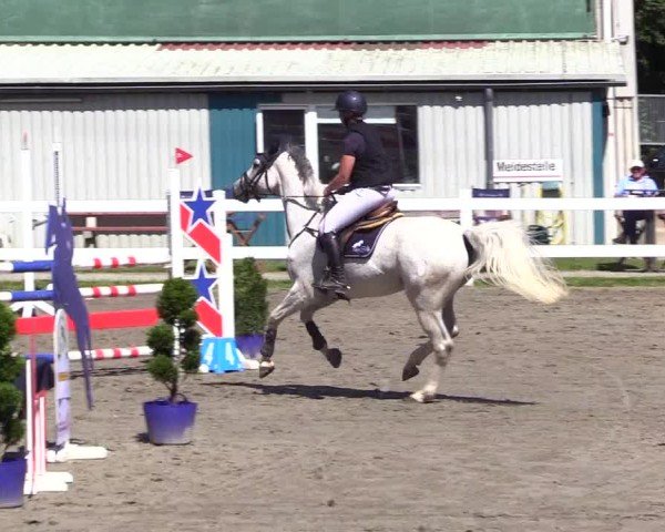 Reitturnier Mildstedt - Jumping Team Nord 2024