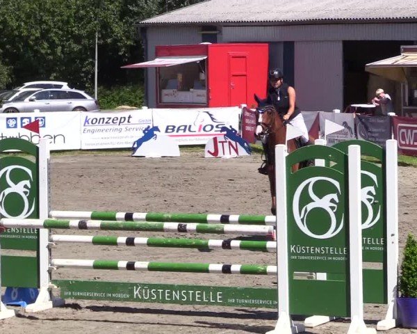 Reitturnier Mildstedt - Jumping Team Nord 2024
