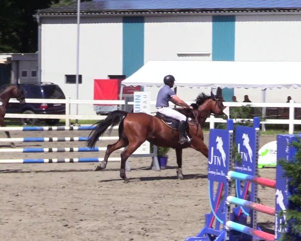 Reitturnier Mildstedt - Jumping Team Nord 2024