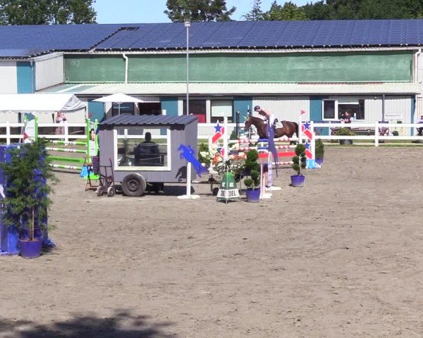 Reitturnier Mildstedt - Jumping Team Nord 2024