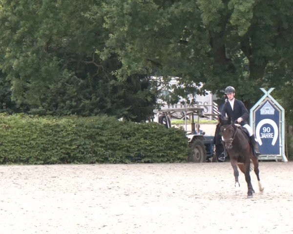Reitturnier Vlotho-Exter 2024