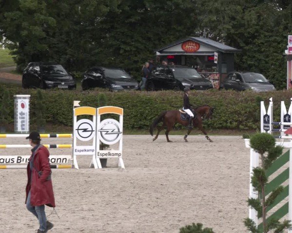 Reitturnier Vlotho-Exter 2024