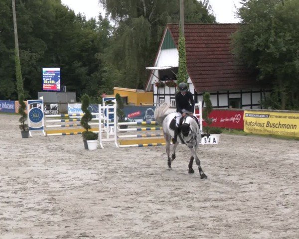 Reitturnier Vlotho-Exter 2024