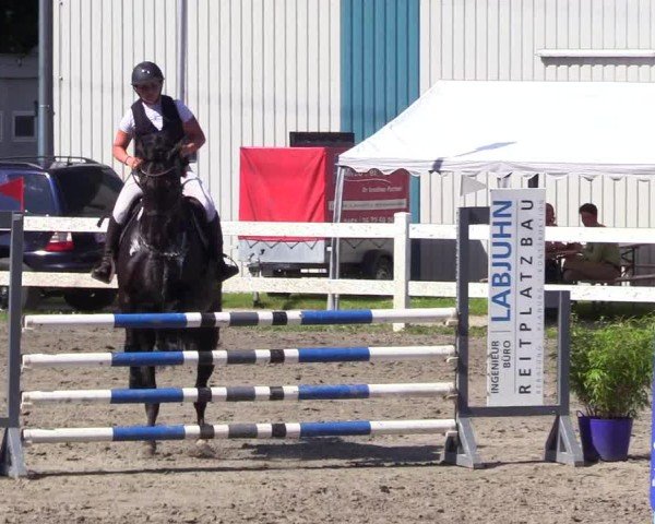 Reitturnier Mildstedt - Jumping Team Nord 2024