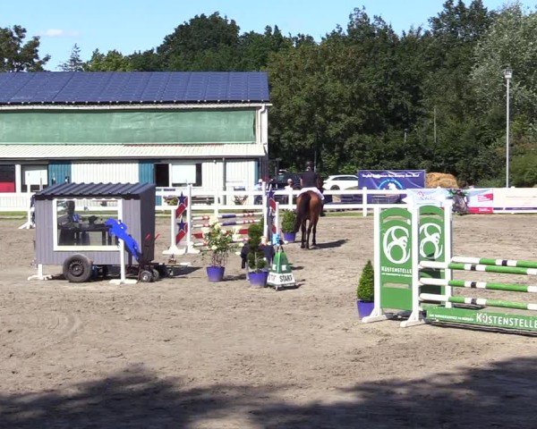 Reitturnier Mildstedt - Jumping Team Nord 2024