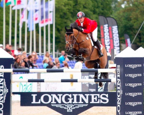jumper Harry K (Danish Warmblood, 2004, from Carnute)