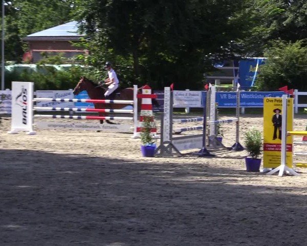 Reitturnier Mildstedt - Jumping Team Nord 2024
