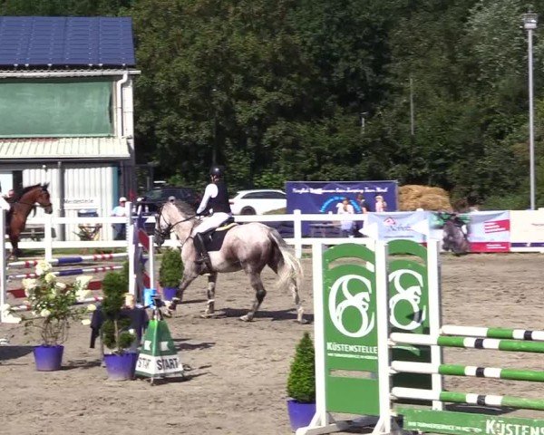 Reitturnier Mildstedt - Jumping Team Nord 2024