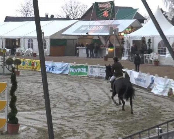Lenklarer Reitertage auf der Reitsportanlage Gripshöver 2013