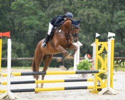 jumper Bentonit (German Sport Horse, 2020, from Bretton Woods)