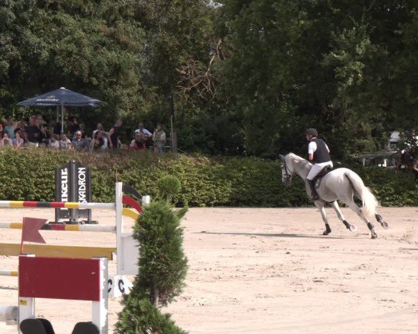 Reitturnier Vlotho-Exter 2024