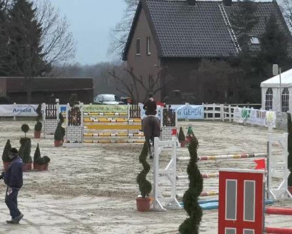 Reitturnier Werne-Lenklar 2013