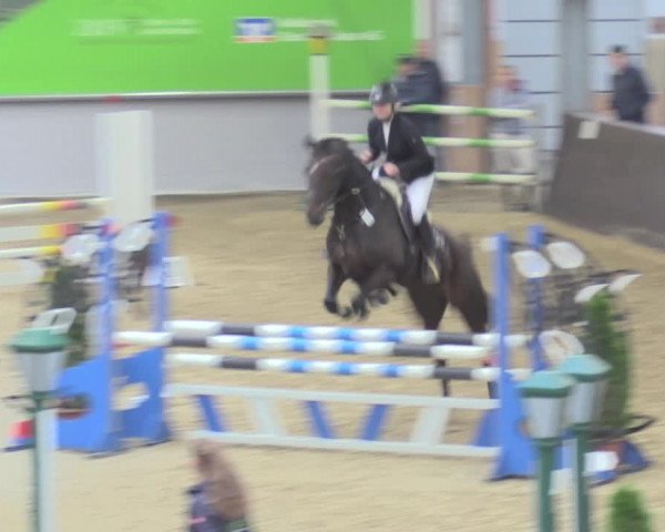 Reitturnier Legden 2021