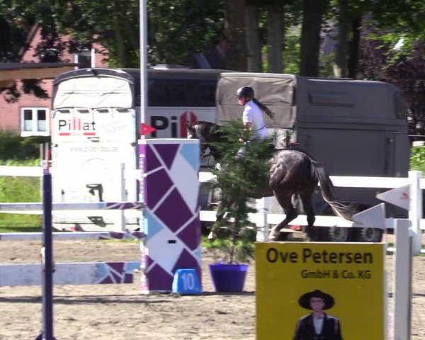 Reitturnier Mildstedt - Jumping Team Nord 2024