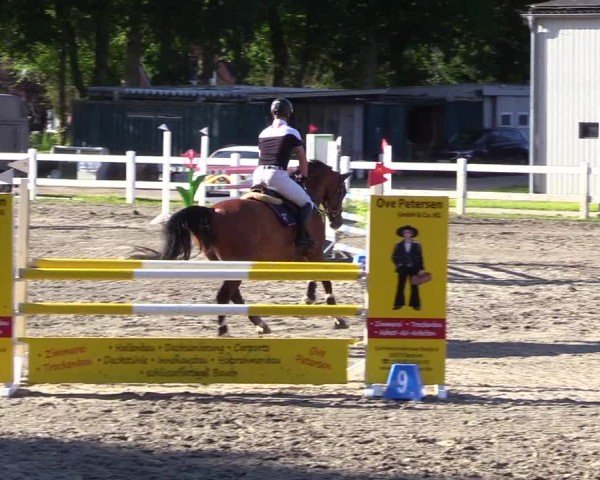 Reitturnier Mildstedt - Jumping Team Nord 2024